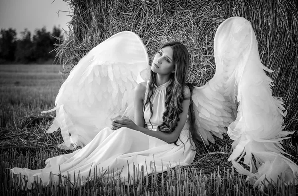 Piękna dziewczyna ze skrzydłami anioł siedzi przodu siana na t — Zdjęcie stockowe