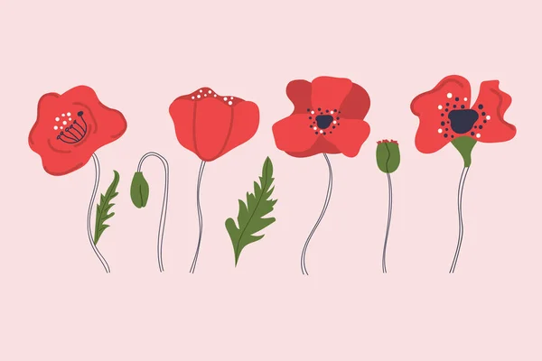 Hand Drawn Poppy Flowers Modern Flat Isolated Illustration — Stock Vector