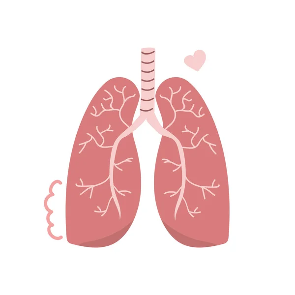 Hand Drawn Human Lungs Cute Flat Modern Illustration Internal Organ — Stock Vector