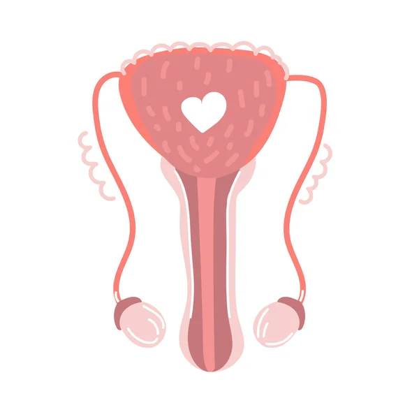 手描きの男性生殖器系 人間の内臓 解剖学 — ストックベクタ