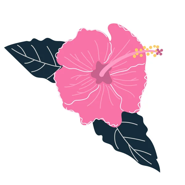 Handritad Hibiscus Blomma Med Blad Exotiskt Tropiskt Blomsterkoncept Platt Illustration — Stock vektor