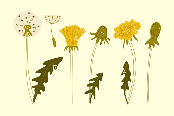 Handgezeichnetes Set Von Löwenzahnblumen Flache Illustration — Stockvektor