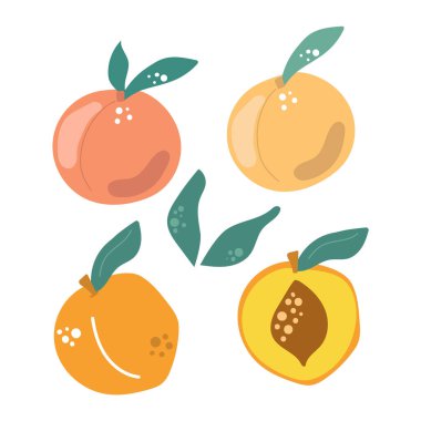 Yapraklı şeftali seti. Modern meyve çizimi.