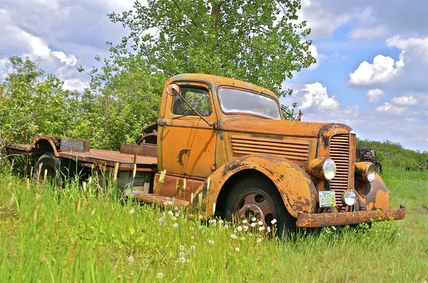 Viejo camión naranja estacionado en la semana y cepillo —  Fotos de Stock