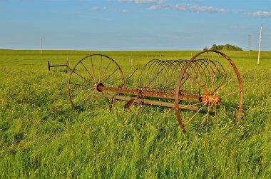 Eski paslı döküm tırmık