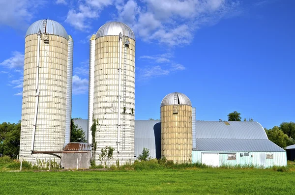 Abandoned dairy operation — Stock Photo, Image