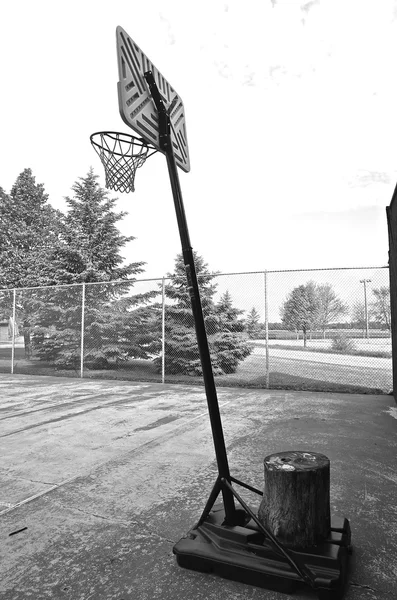 Basketball standard pondéré avec une souche — Photo