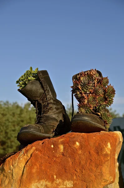 Buty armii ozdobione szyszki — Zdjęcie stockowe