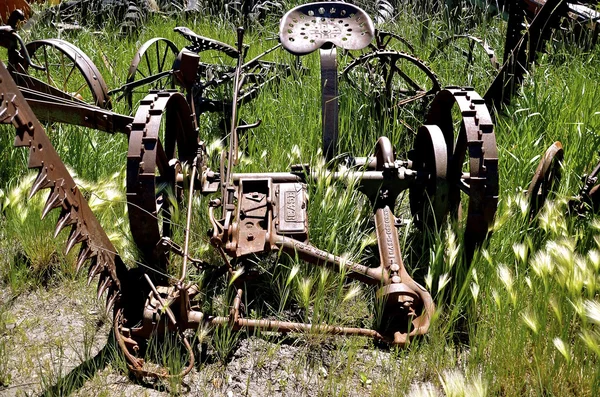 Gamla två rad majs planter — Stockfoto