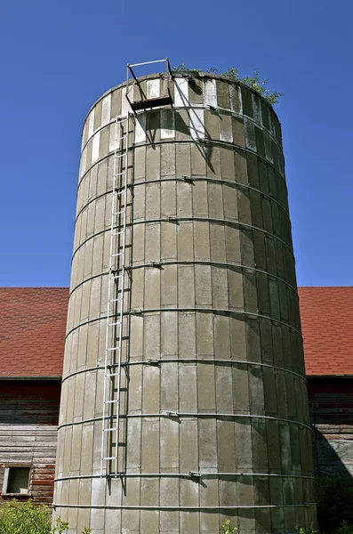 Wijnstokken verschijnen bovenaan van oude silo — Stockfoto