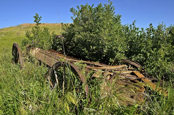 Antiguo remolque de carreta de madera podrida — Foto de Stock