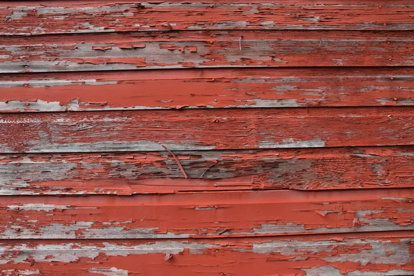 Kırsal Bir Ahırın Eski Yıpranmış Ahşabının Üzerindeki Kırmızı Boyayı Soyuyordu — Stok fotoğraf