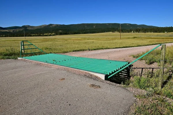 A metal grated cattle guard crossing on a western prairie driveway