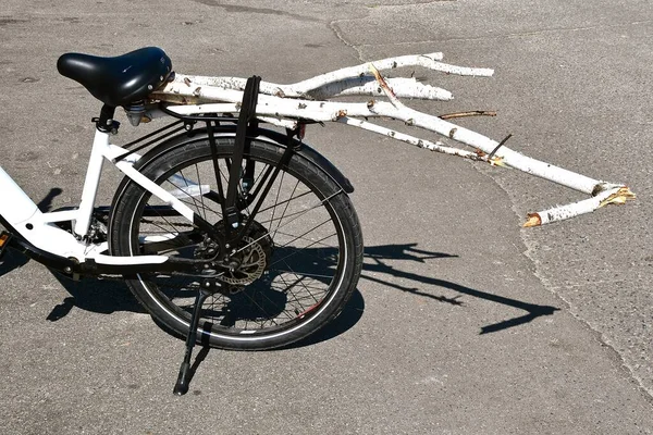 Uma Bicicleta Está Sendo Usada Para Transportar Pequenos Galhos Bétula — Fotografia de Stock