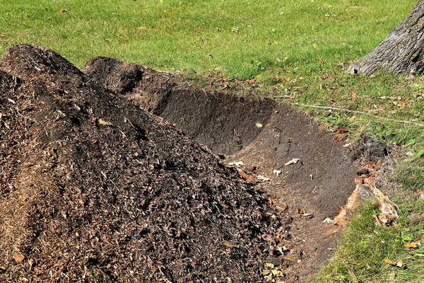 Une Souche Été Broyée Copeaux Bois Vivant Trou Dans Sol — Photo