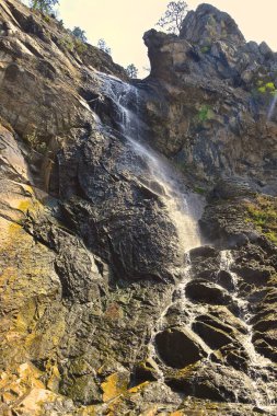 Güney Dakota 'nın Kara Tepeleri' ndeki bir şelalenin kayalarının üzerinden akan su..