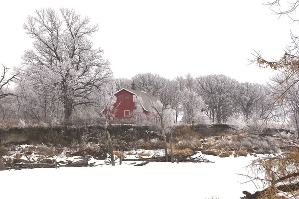 一座红色的屋顶旧谷仓被覆盖着白霜的树木环绕着 — 图库照片