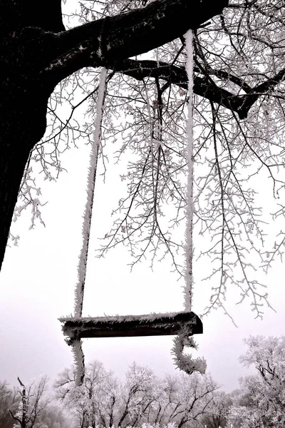 吊绳摆动的座位上覆盖着白霜 — 图库照片