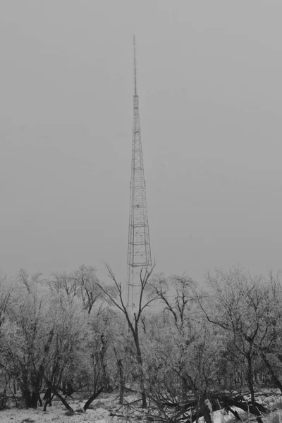 在结霜和浓雾的条件下 很难看到远处的高楼通信塔 — 图库照片