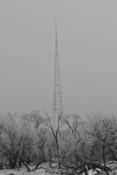 Ein Weit Entfernter Hoher Mobilfunkmast Ist Bei Raureif Und Dichtem — Stockfoto