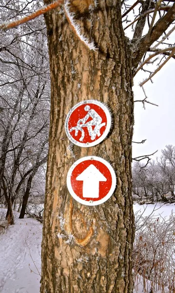 Schild Einem Baum Weist Auf Die Verfügbarkeit Eines Vorausfahrenden Radweges — Stockfoto