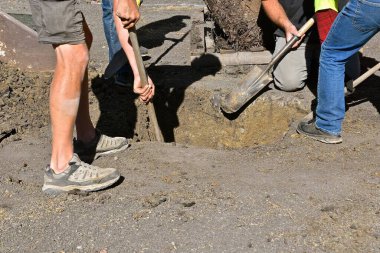 Kürek ve kürek kullanan birden fazla işçi ağaç nakli için çukur kazıyor.