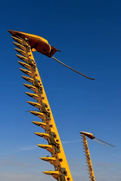 Several old yellow sickle bars in upright position are silhouetted against the blue sky