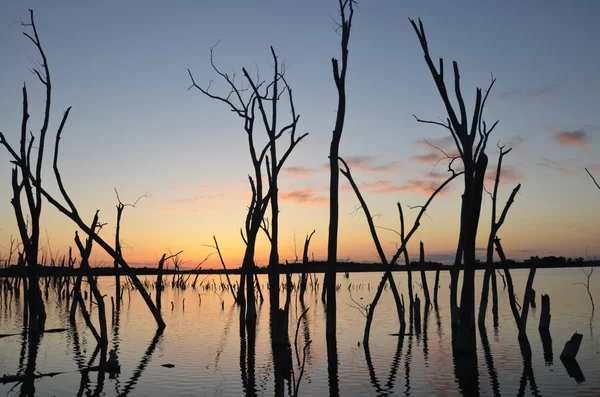 Západ slunce nad jezerem s mrtvé stromy — Stock fotografie