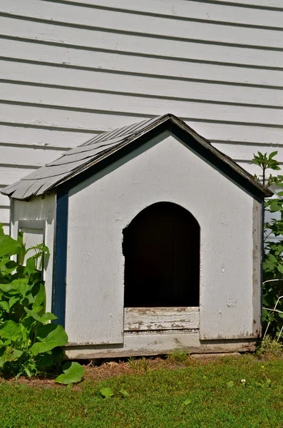 Gran caseta blanca para perros — Foto de Stock