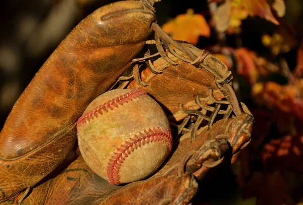 Baseball, rękawic i biedronka — Zdjęcie stockowe