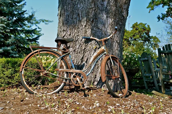 Bicicleta vintage se inclina em uma árvore — Fotografia de Stock