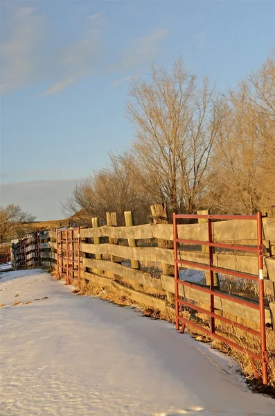 Ceder staket på ranch webbplats — Stockfoto