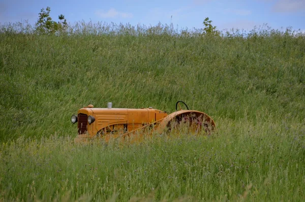 Yellow tractor hidden in grass
