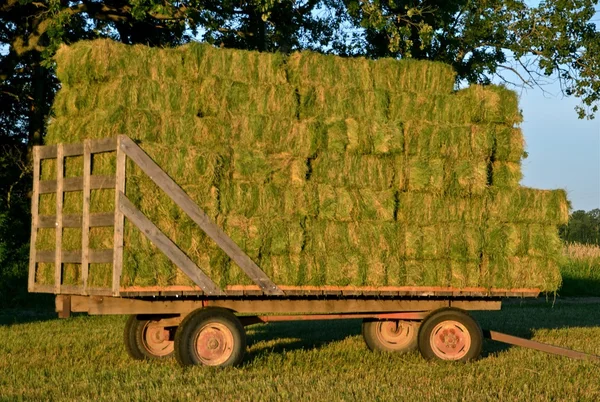 负荷的成捆干草 — 图库照片