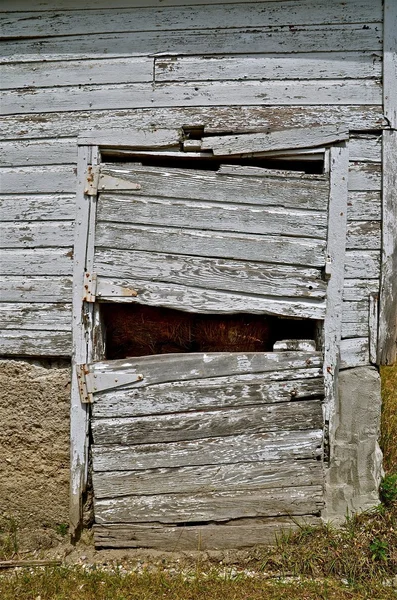 Затиснуті старі двері сараю — стокове фото