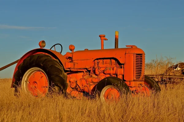 Старый оранжевый трактор припаркован в траве осеннего цвета — стоковое фото