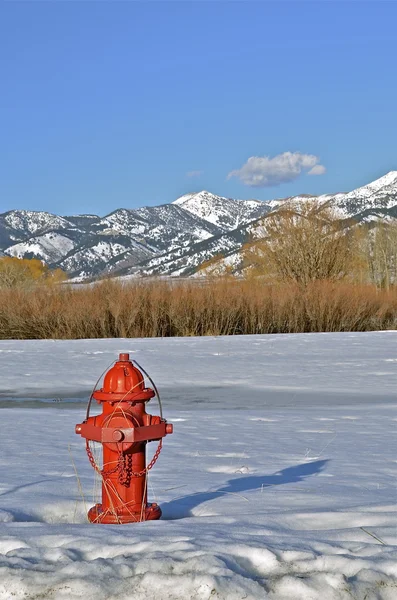 Hidratante de fogo no campo coberto de neve — Fotografia de Stock