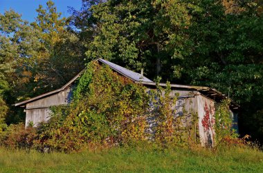 Eski kulübede sonbahar renkleri