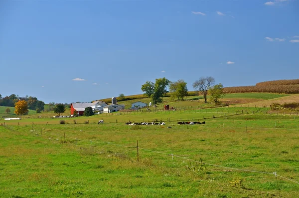 Amische Farm in der Ferne — Stockfoto