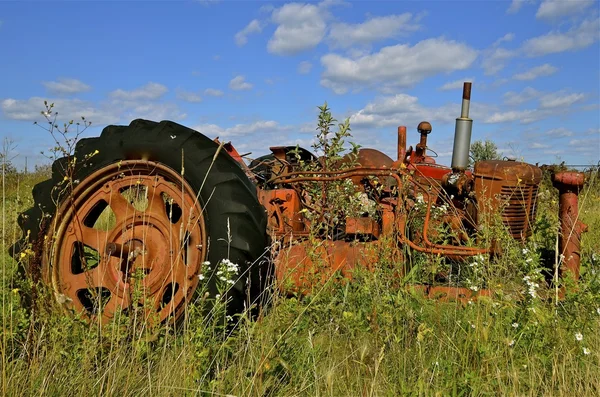 Gamla traktor begravd i ogräs — Stockfoto