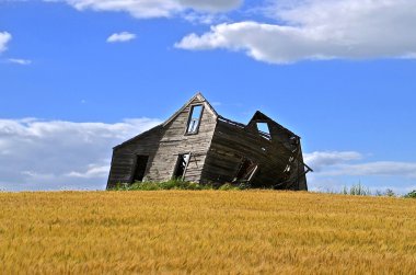 Buğday alanında eski ev çerçevesi