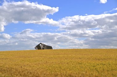 Buğday alan eski bir evde çerçeve