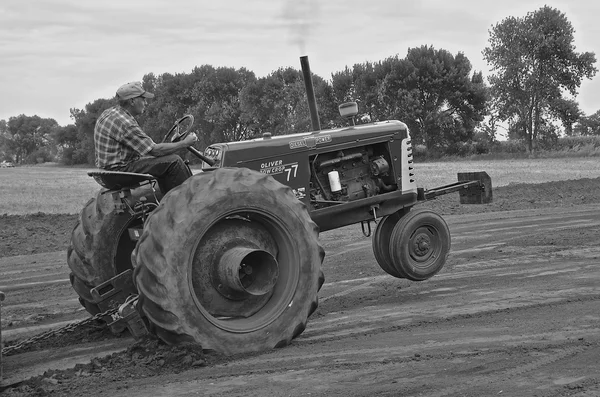 Oliver 77 dans un concours de traction de tracteur à une réunion de Thresher — Photo