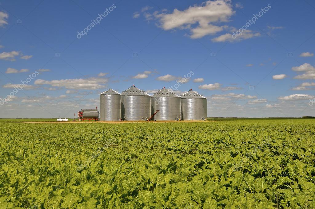 New round storage bins Stock Photo by ©fiskness 82743818