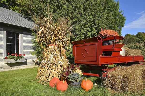Pumkins and corn stalks syrround an old red wagon. — Stock Photo, Image