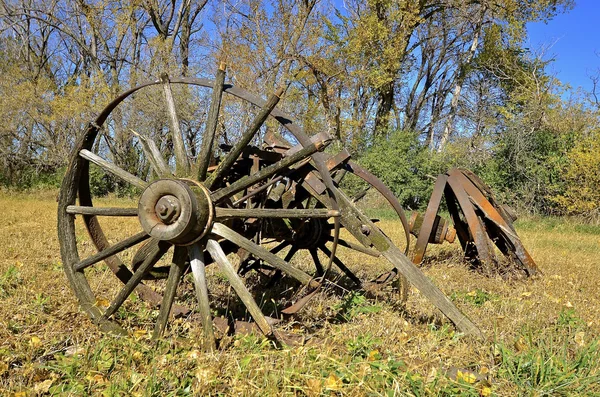 Wood wagon wheels in a field — Stock Photo, Image