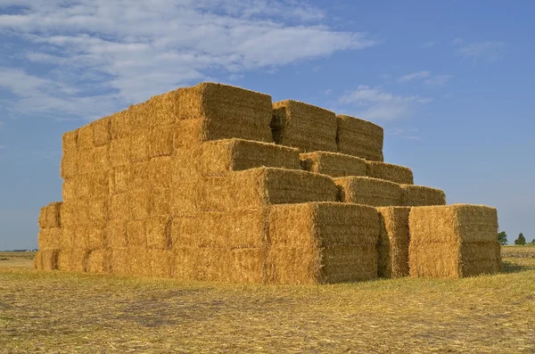 Huge stack of straw bales — Stock Photo, Image