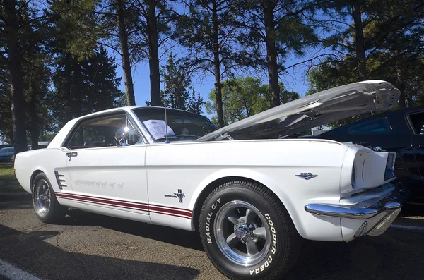 Clásico 1966 Ford Mustang —  Fotos de Stock