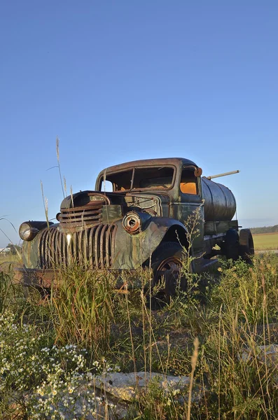 Старый грузовик в сорняках — стоковое фото