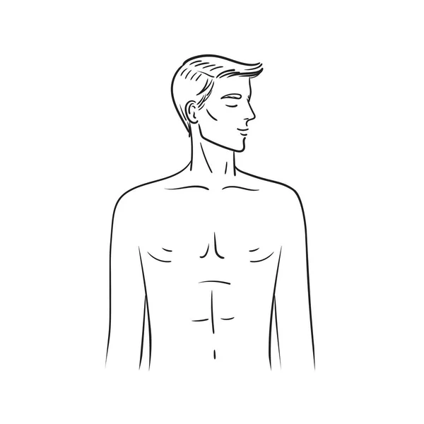 Мужской линейный силуэт изолирован на белом фоне. Красивый мужчина на талии. Иллюстрация мужского тела и мужской анатомии. Фронтовой зритель. — стоковый вектор